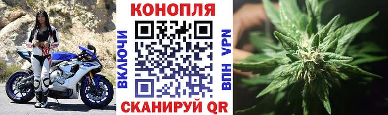 Купить закладку COCAIN  Меф мяу мяу  МАРИХУАНА  Нижнеудинск