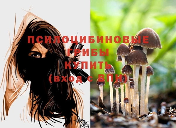 экстази Горно-Алтайск