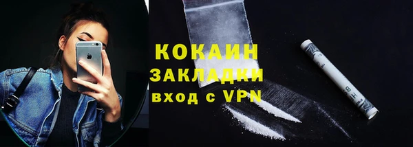 PSILOCYBIN Горняк