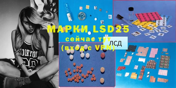 PSILOCYBIN Горняк