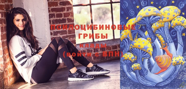 mdpv Горнозаводск