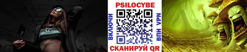 Псилоцибиновые грибы Psilocybe  Купить  Нижнеудинск 